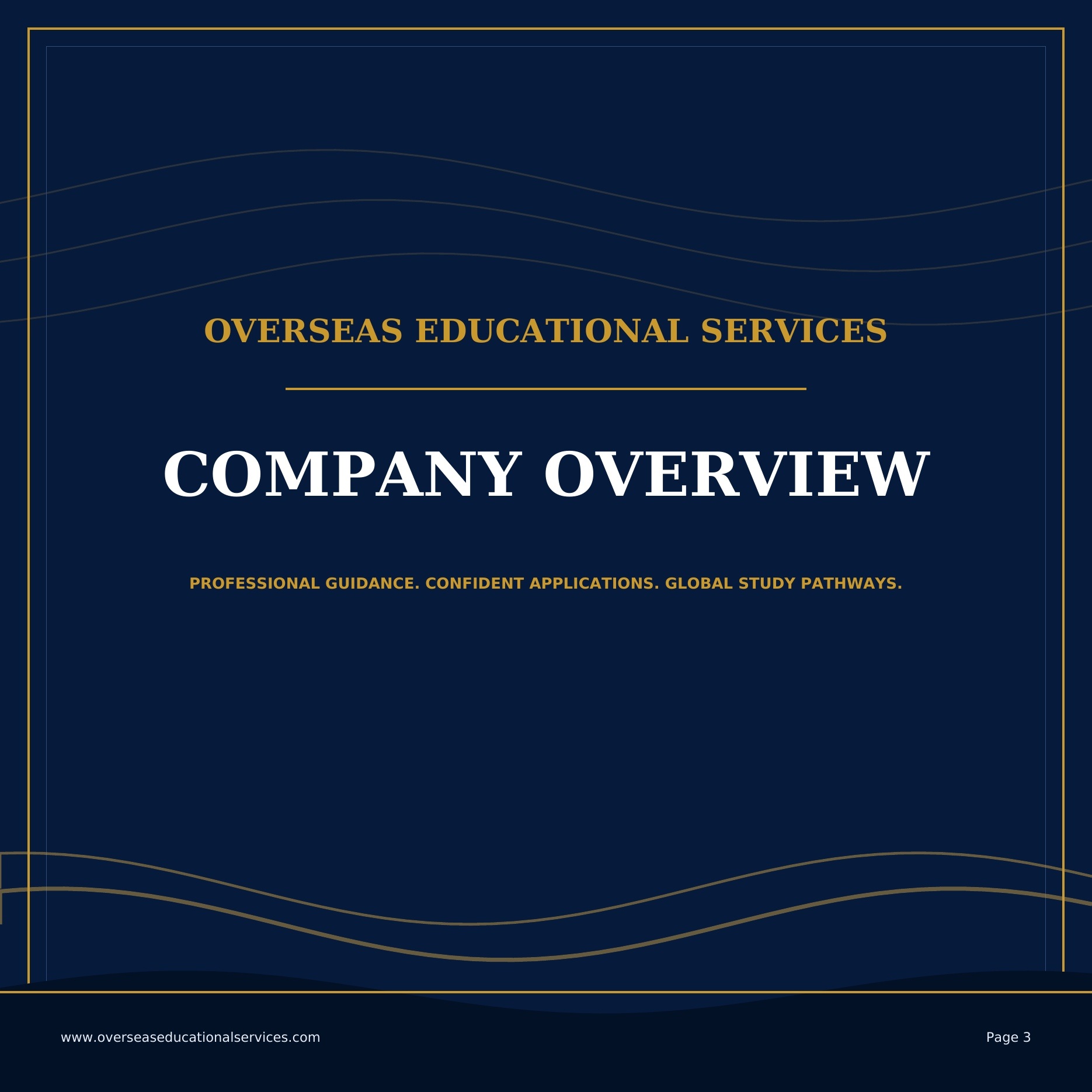 OES company overview visual